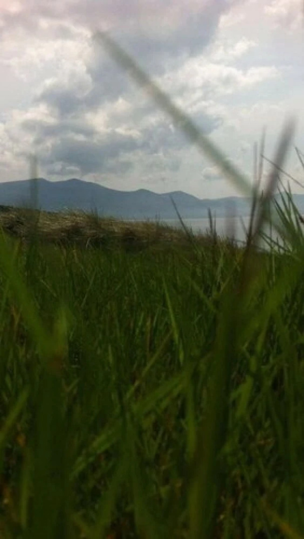 Shores Country House Bed & Breakfast