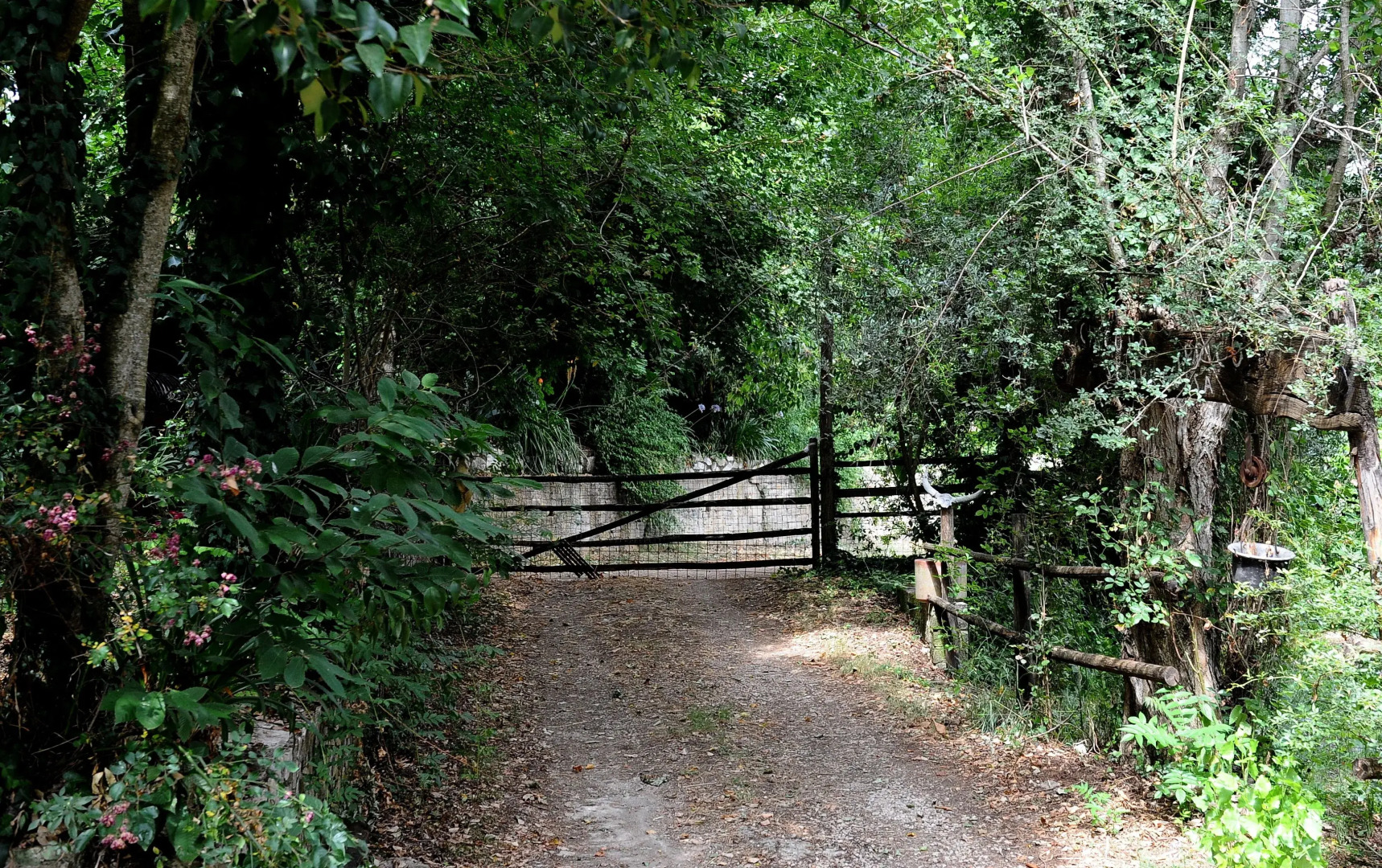 B&B Circolo Ippico Semprevisa