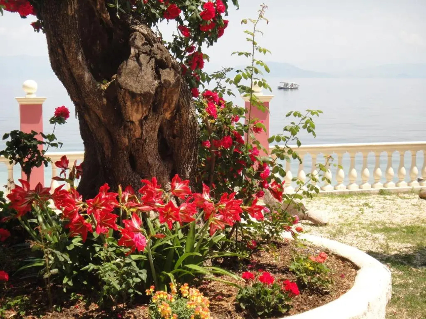 Apartments Corfu Sun Sea Side