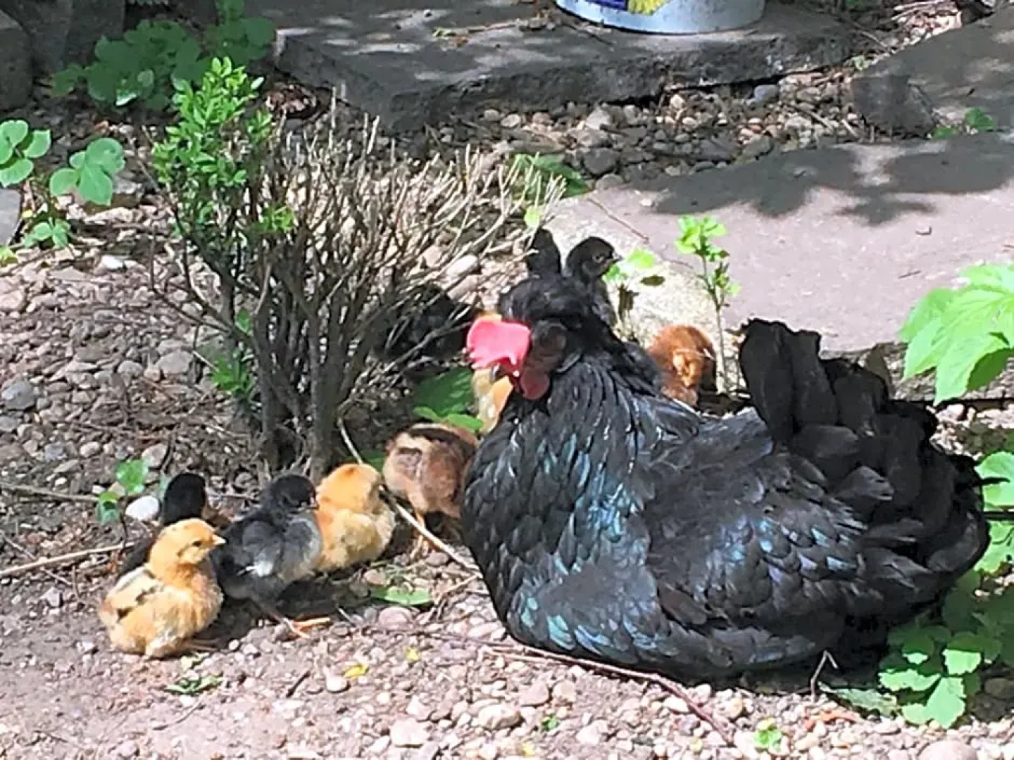 Hotel Gasthof Alte Post