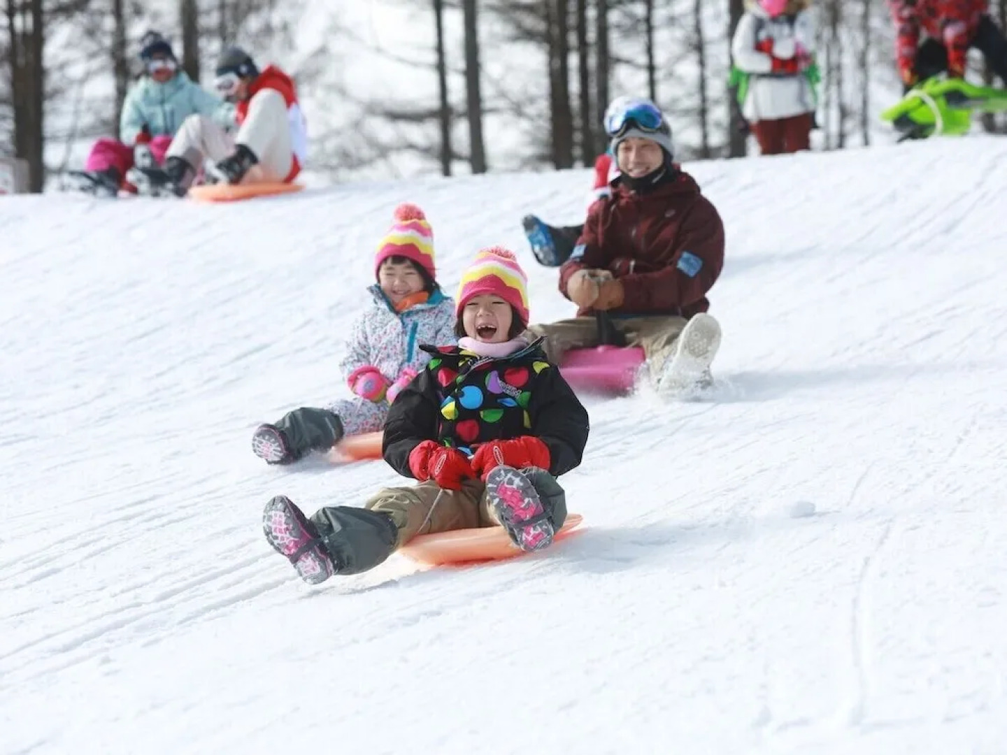 ANA Holiday Inn Resort Karuizawa by IHG