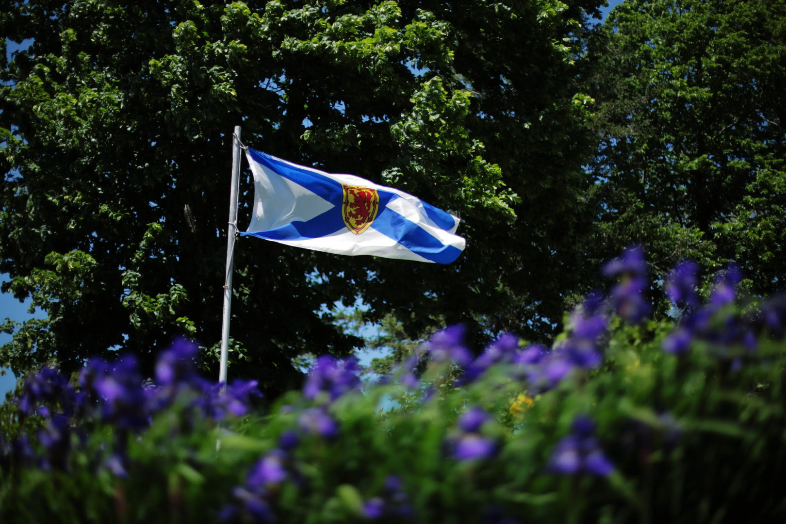 Carleton Inn and Cottages
