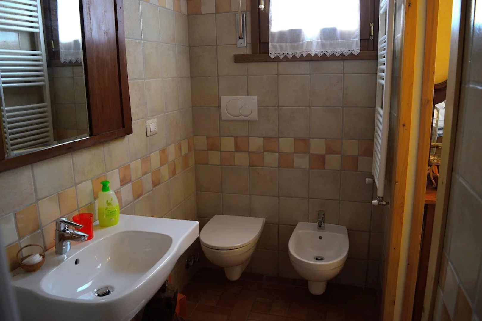 B&B Animali Selvaggi