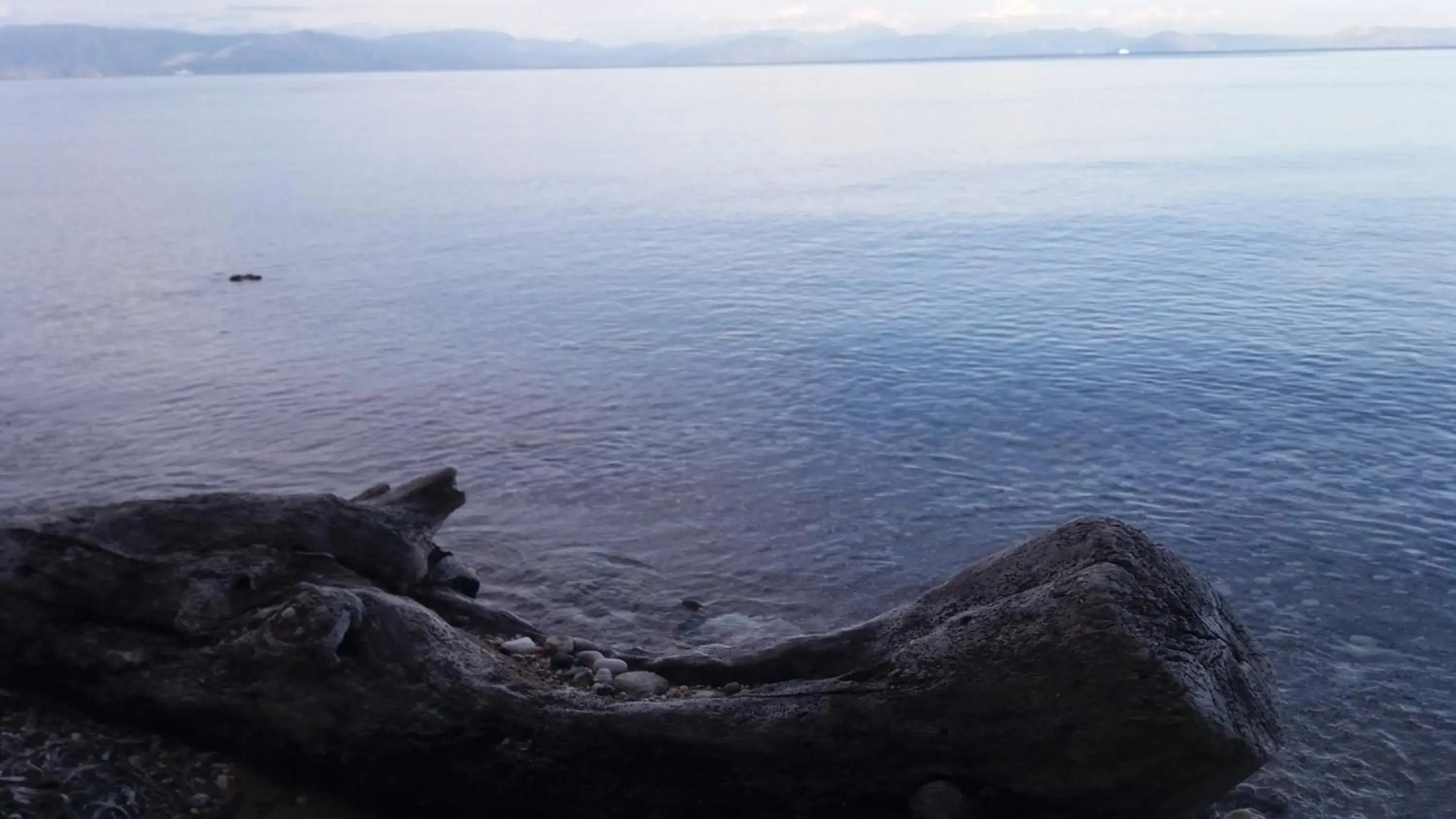 Sol e Mar Sea Side View Guesthouse