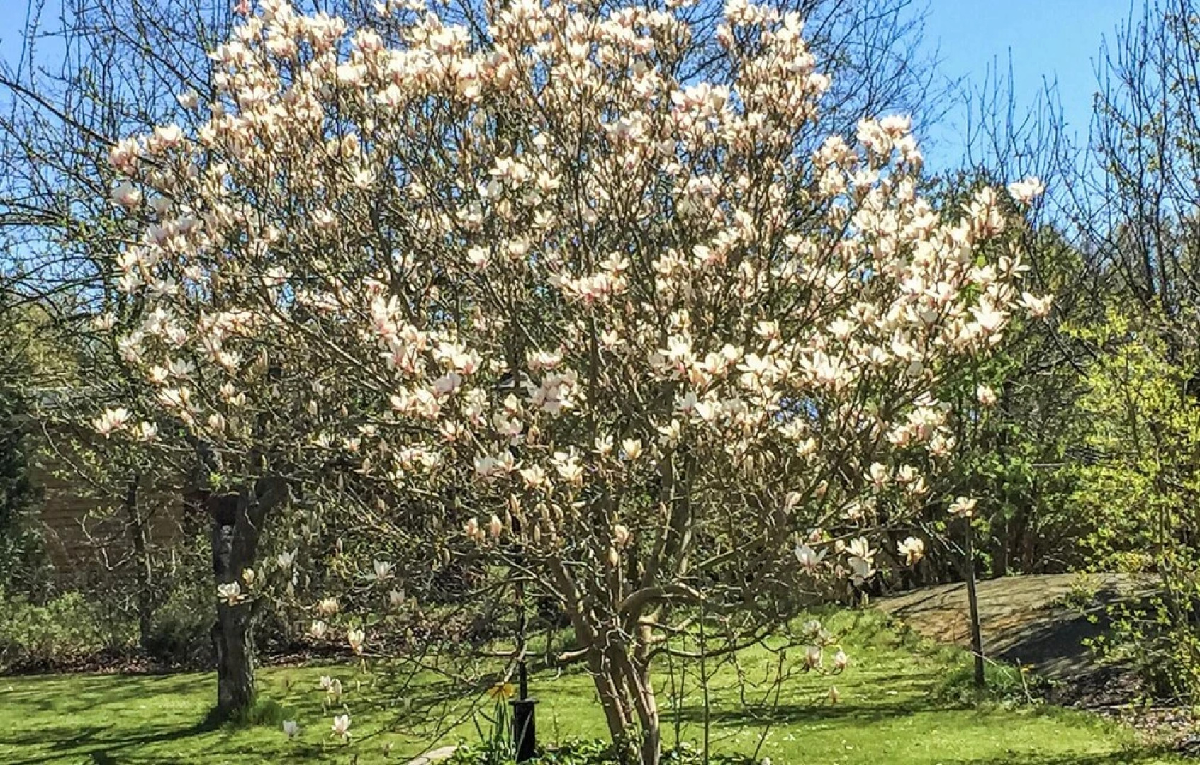 Amazing Apartment in Beddingestrand With 1 Bedrooms