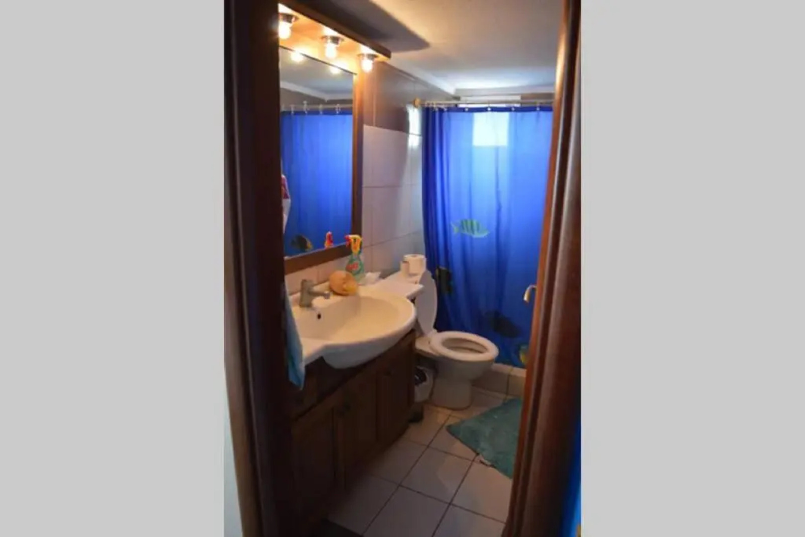 35 m from the beach, amazing seaview, Chalkidiki, Loutra Agias Paraskevis , Evdiriadis Luxury Apartment , you can see it on youtube if you type the name Evdiriadis