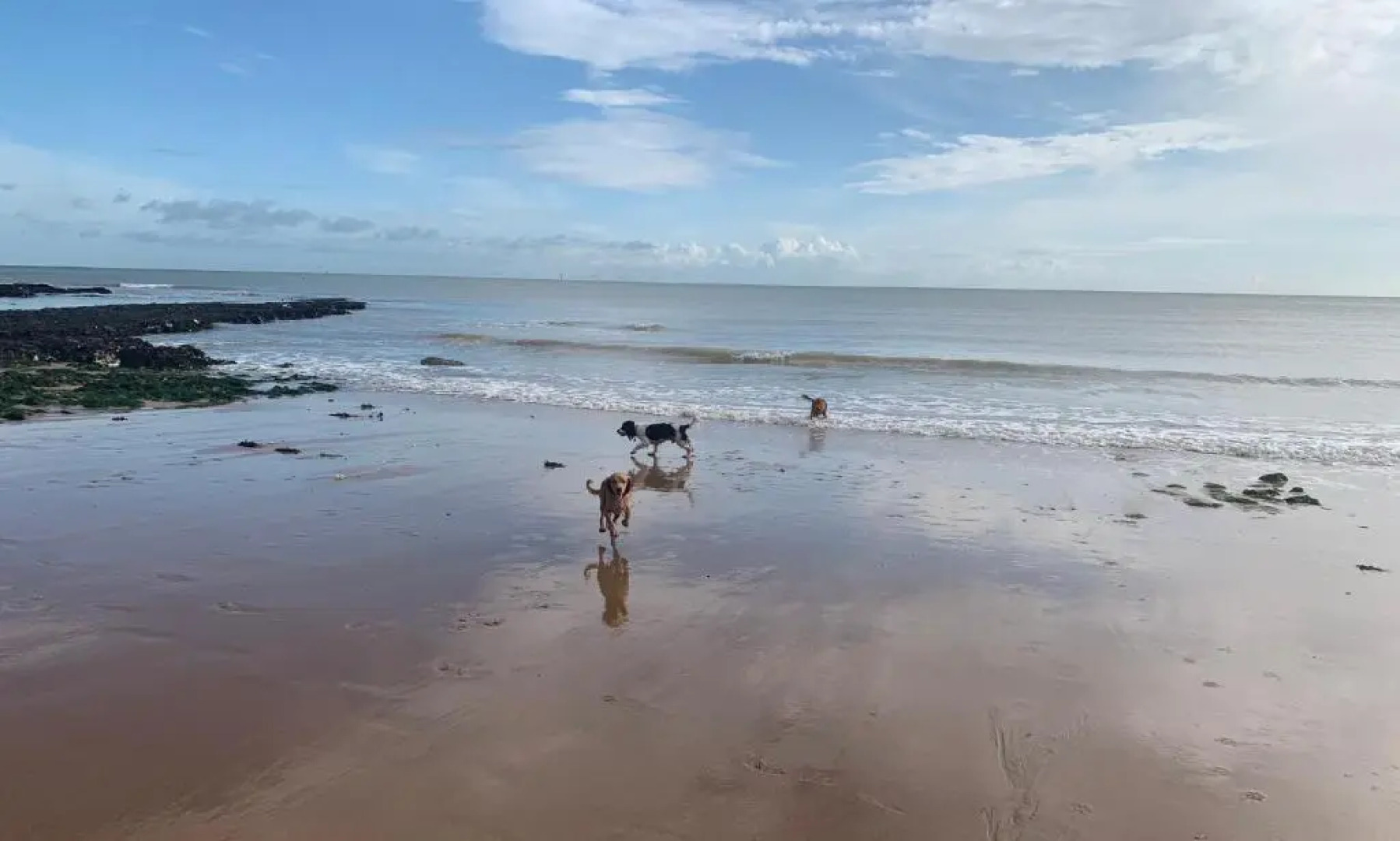 Winterstoke view-Ramsgate-5 bed Family & dog friendly beach retreat-Seaviews