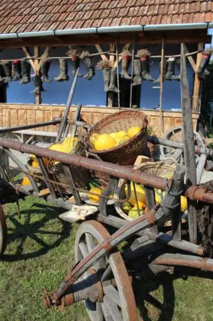 Csipkeszeg Bed & Breakfast Sic / Szék Romania