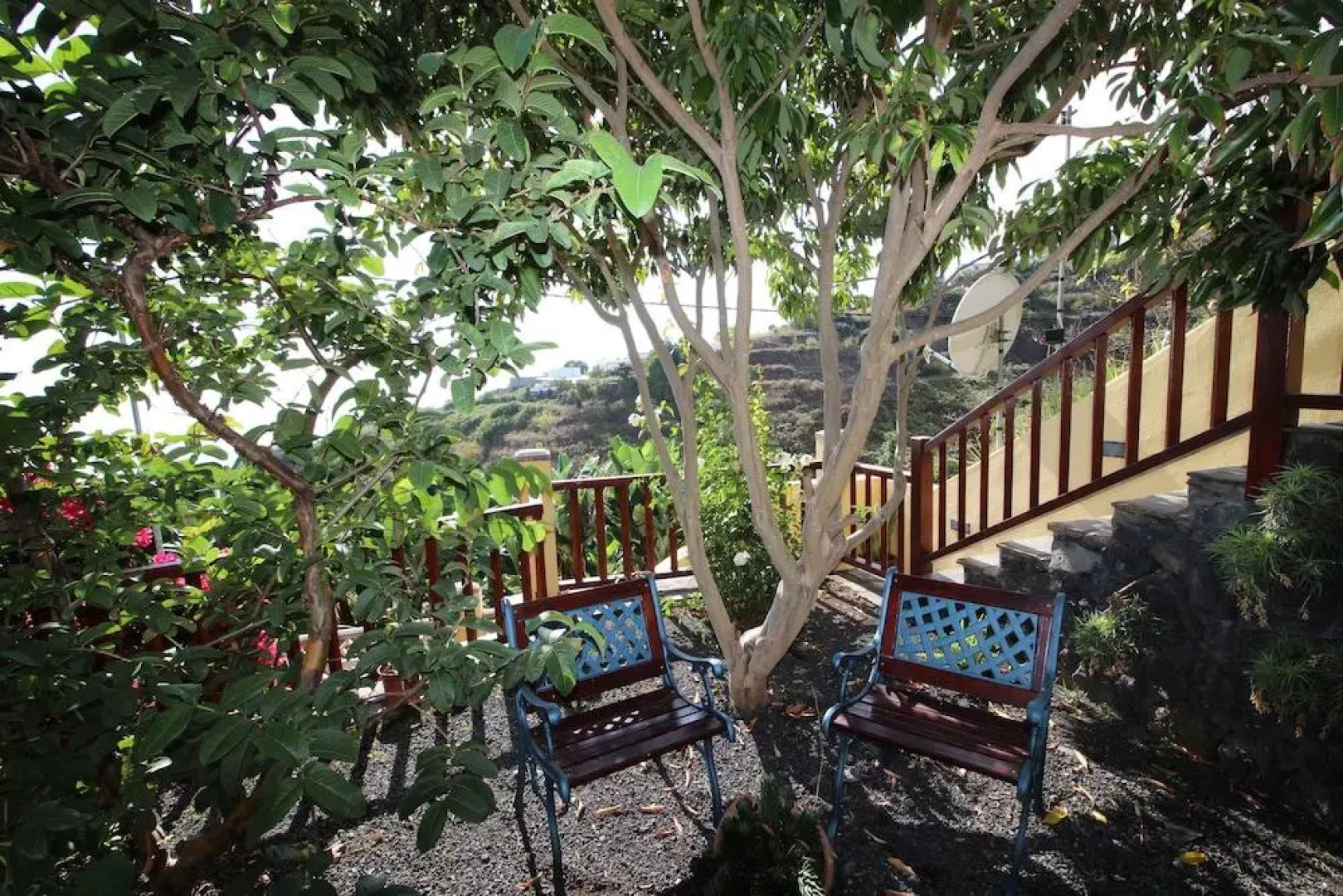 Los Nacientes: Cordero