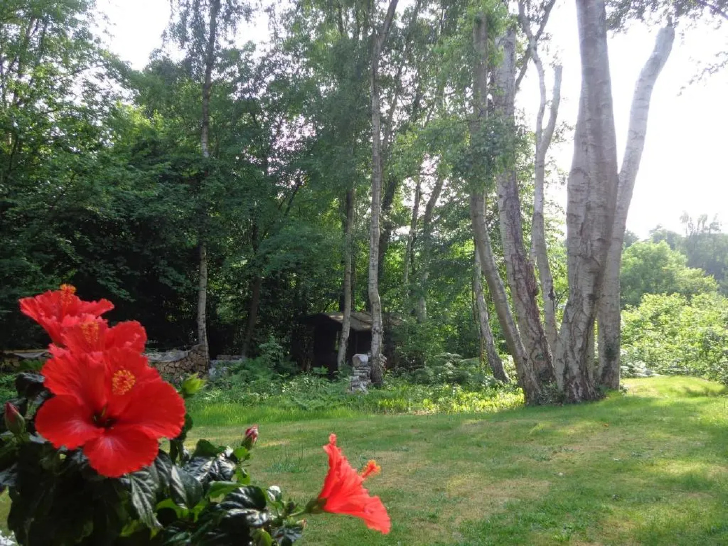 Green Hill Guest House