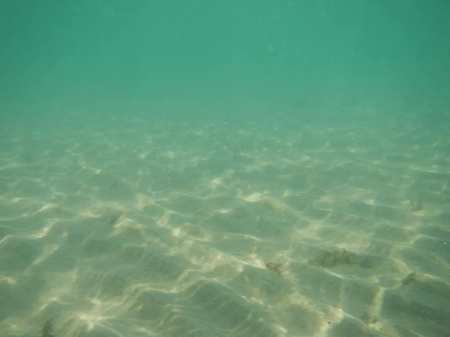 Sunshine Paradise Resort