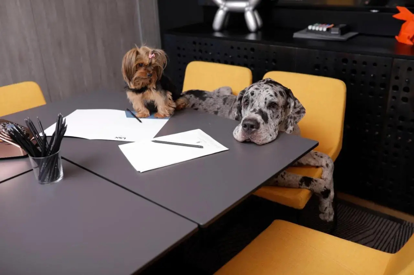 Link hotel & Hub By Dan Hotels