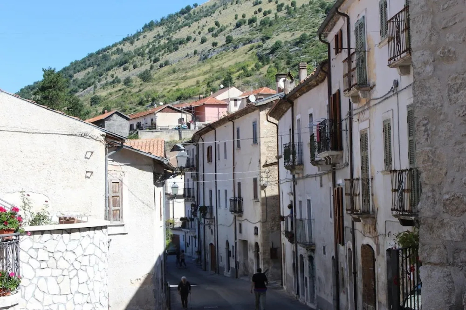 Volpe - Parco Nazionale d'Abruzzo