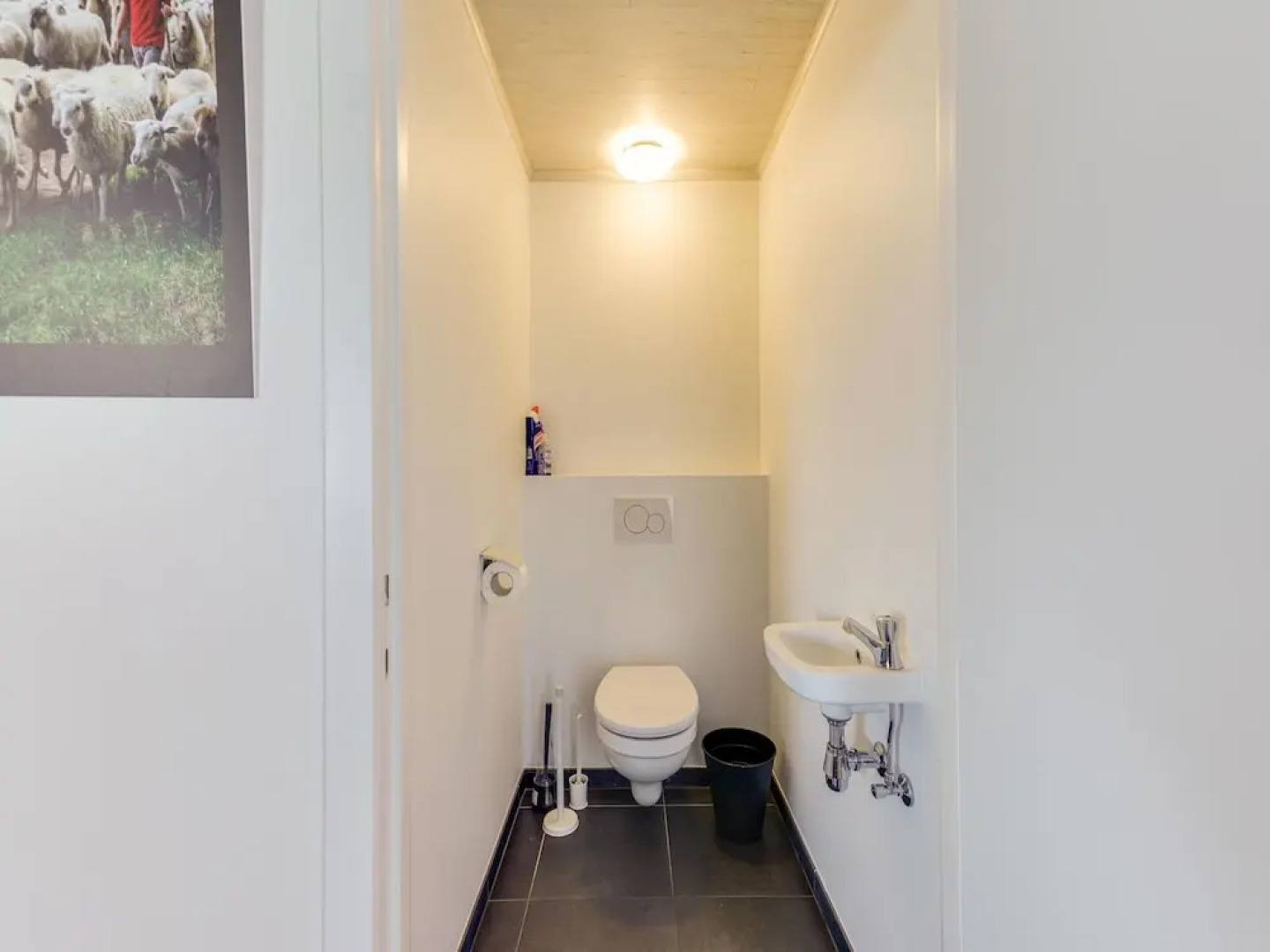 Cottage on Sheep Farm With Gelateria