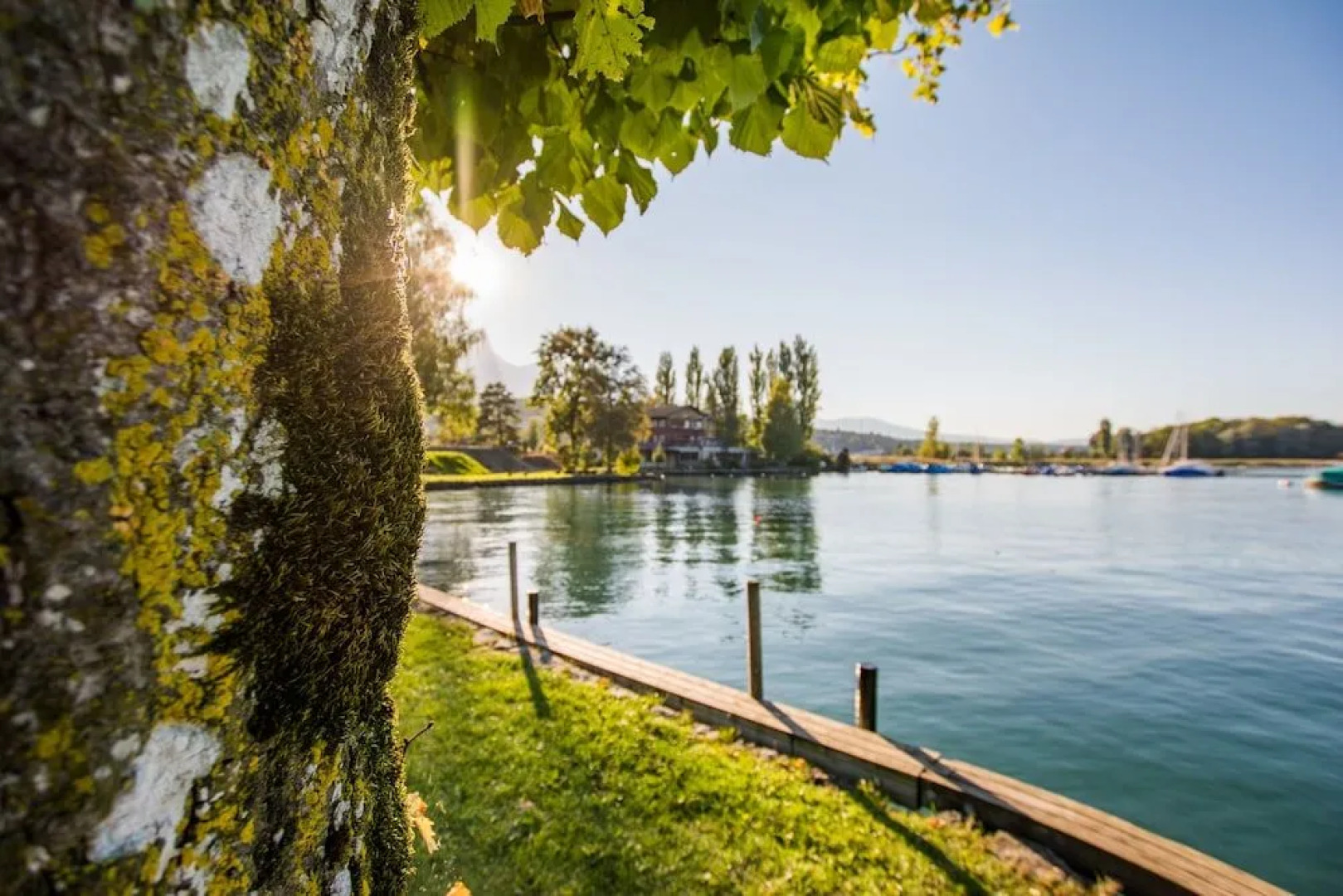 Waldhaus*** Hotel im Deltapark Vitalresort