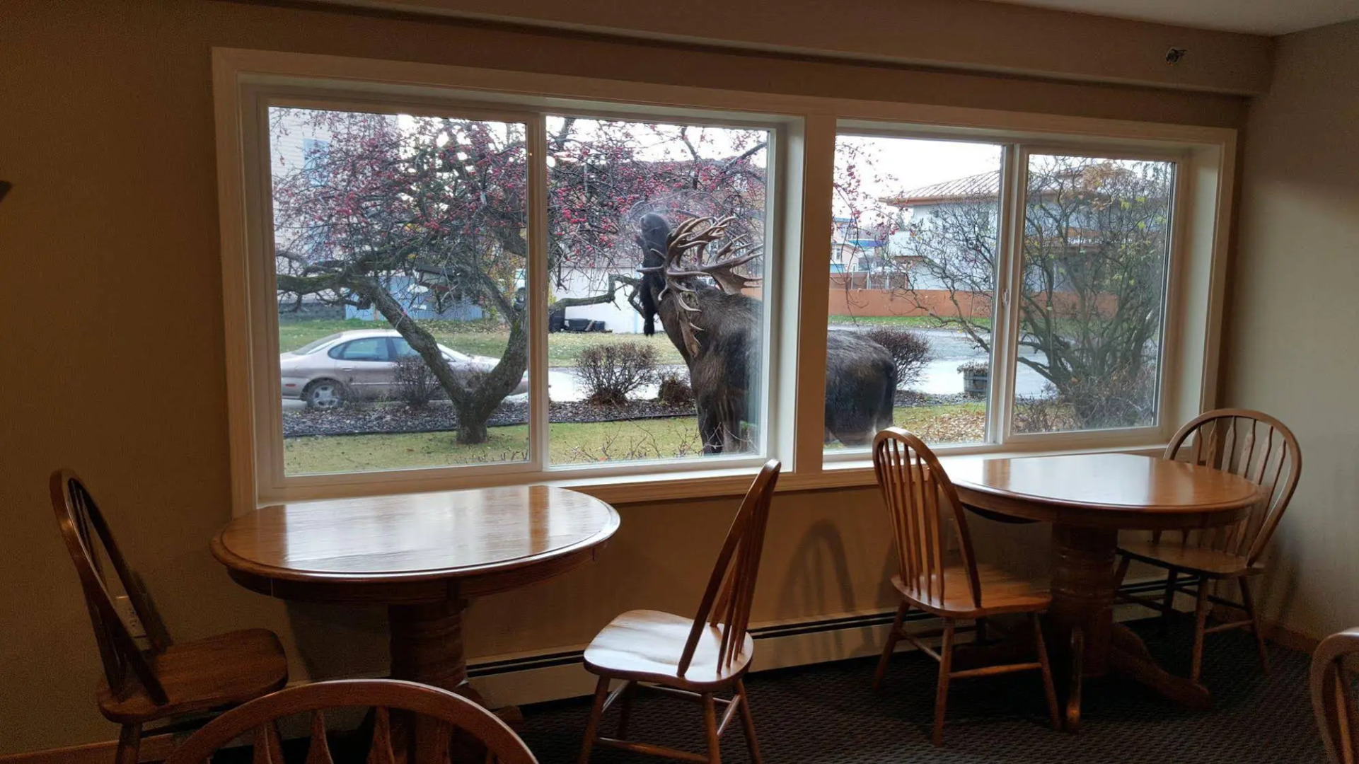 Lakeshore Inn & Suites