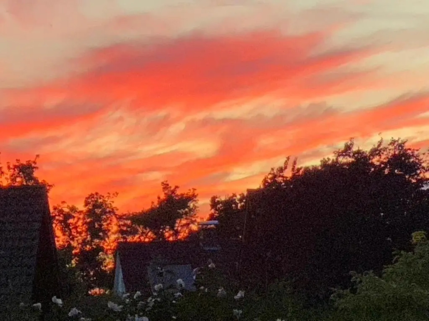 Wilsmann Apartmentvermietung