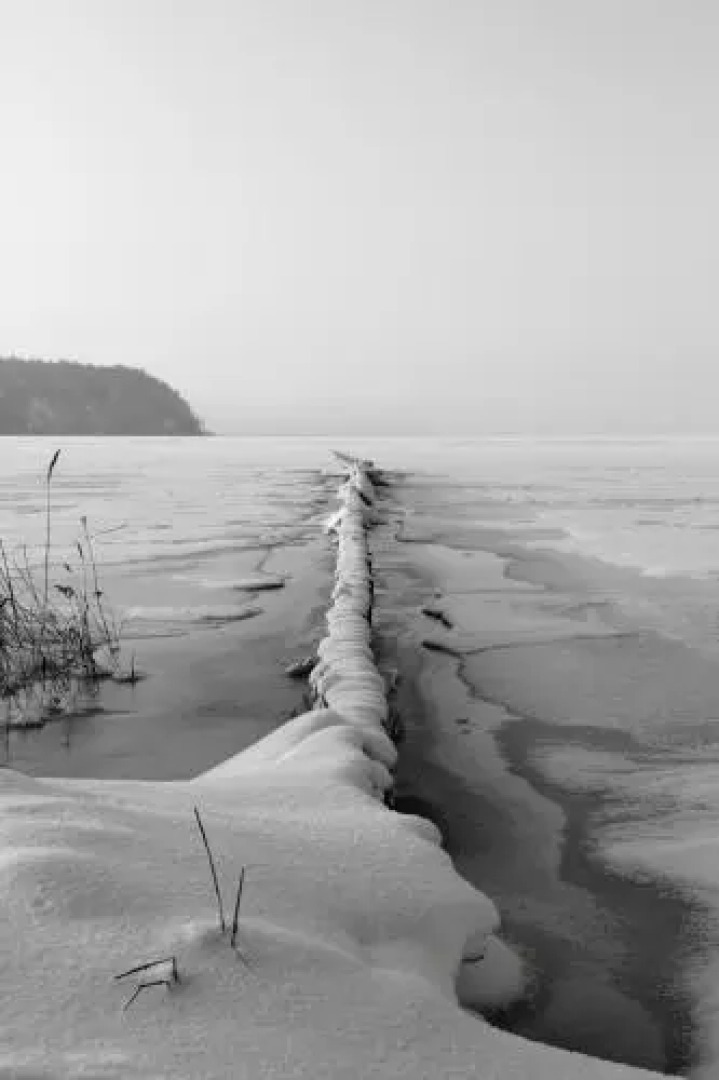 Appartementhaus Möwe - Ferienwohnungen