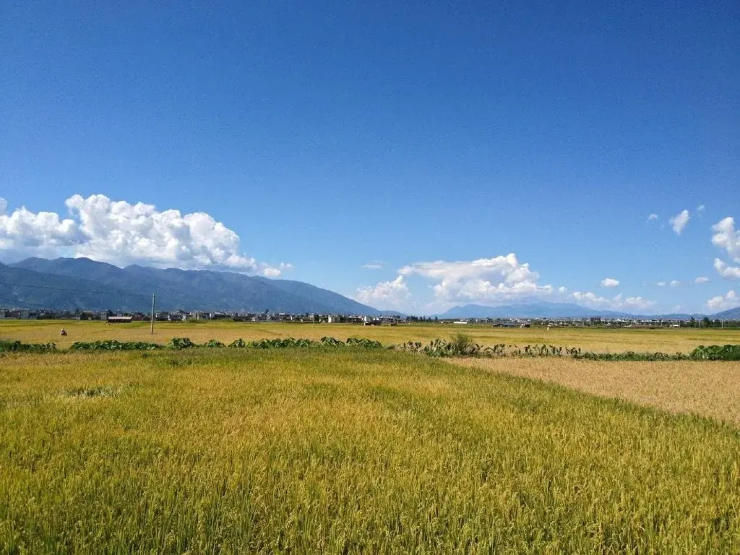 The Moment Youth Hostel