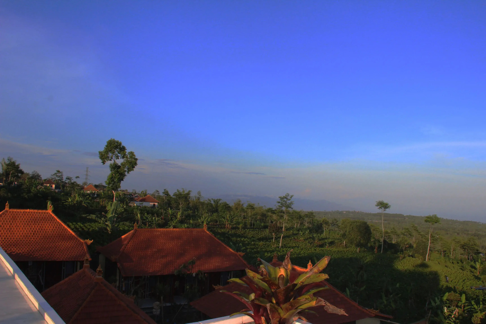The GARUDA villa & Restaurant