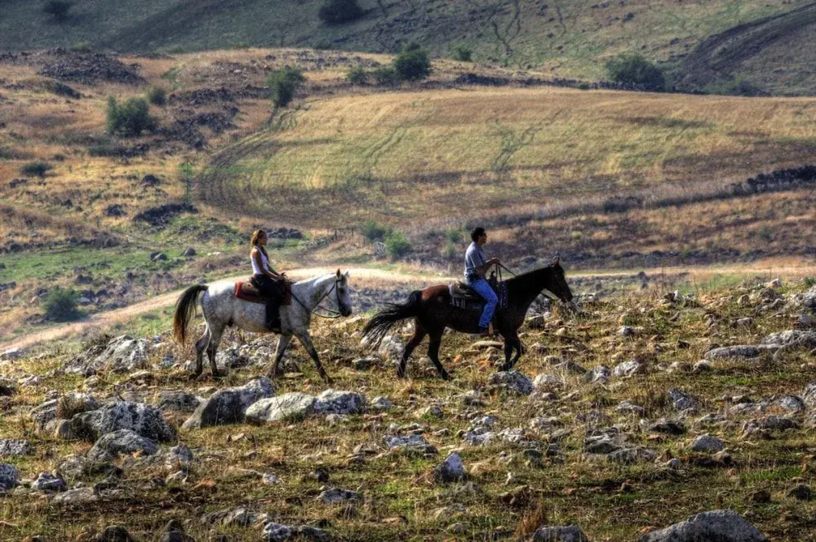Vered Hagalil Holiday Village
