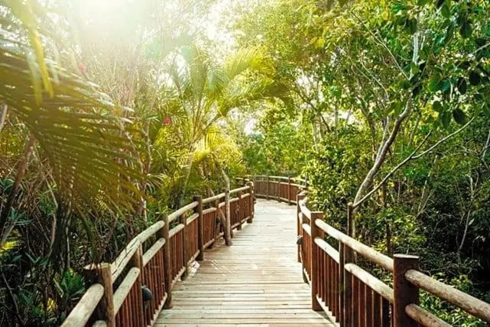 Mayan Palace at Vidanta Riviera Maya