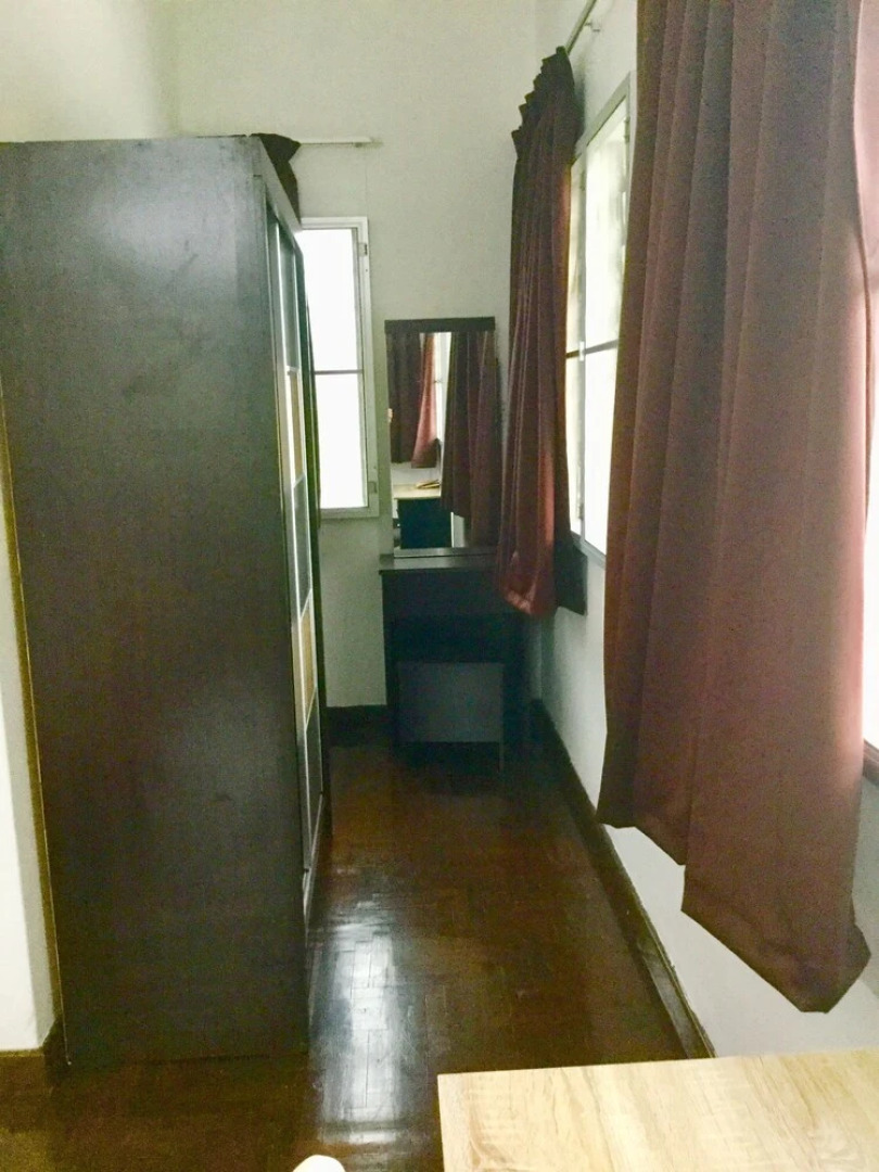 Sea Lion by the Beach