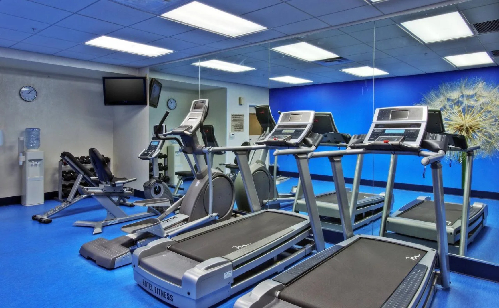 SpringHill Suites by Marriott Baton Rouge North/Airport