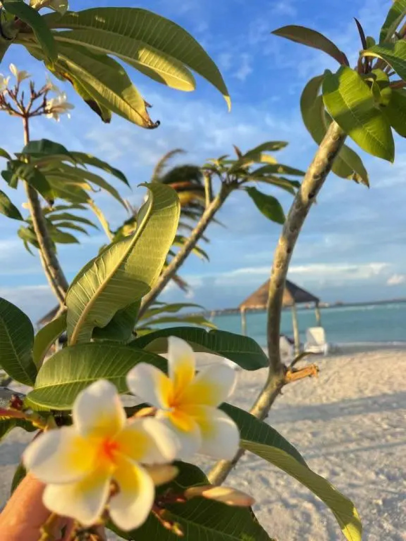 Wind Breeze Sunset View Inn