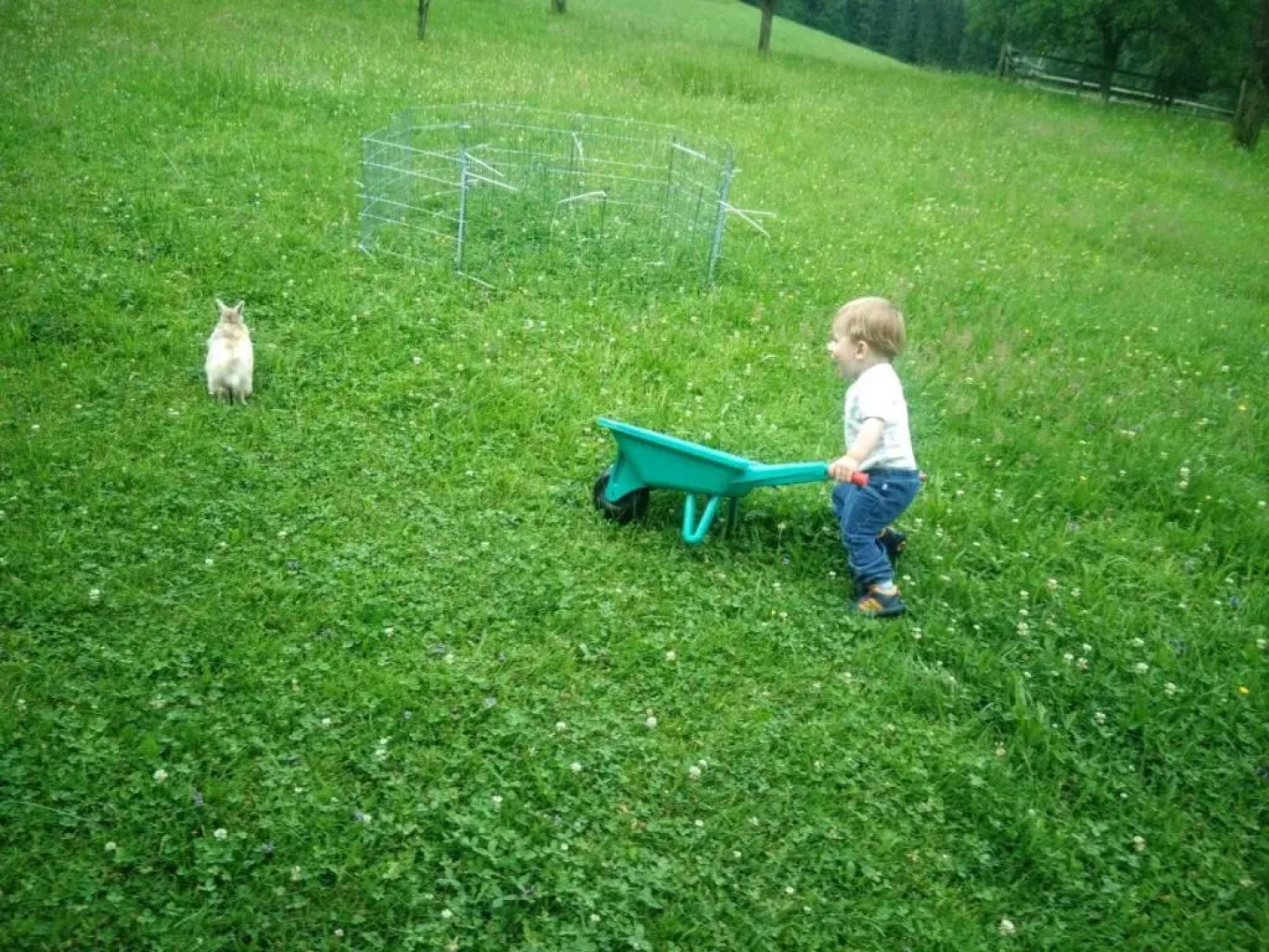 Panoramahof Manzberg