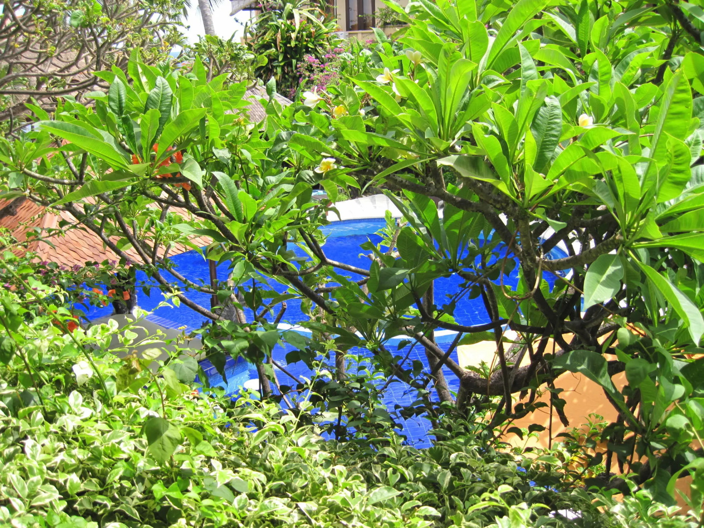 New Adirama Beach Hotel