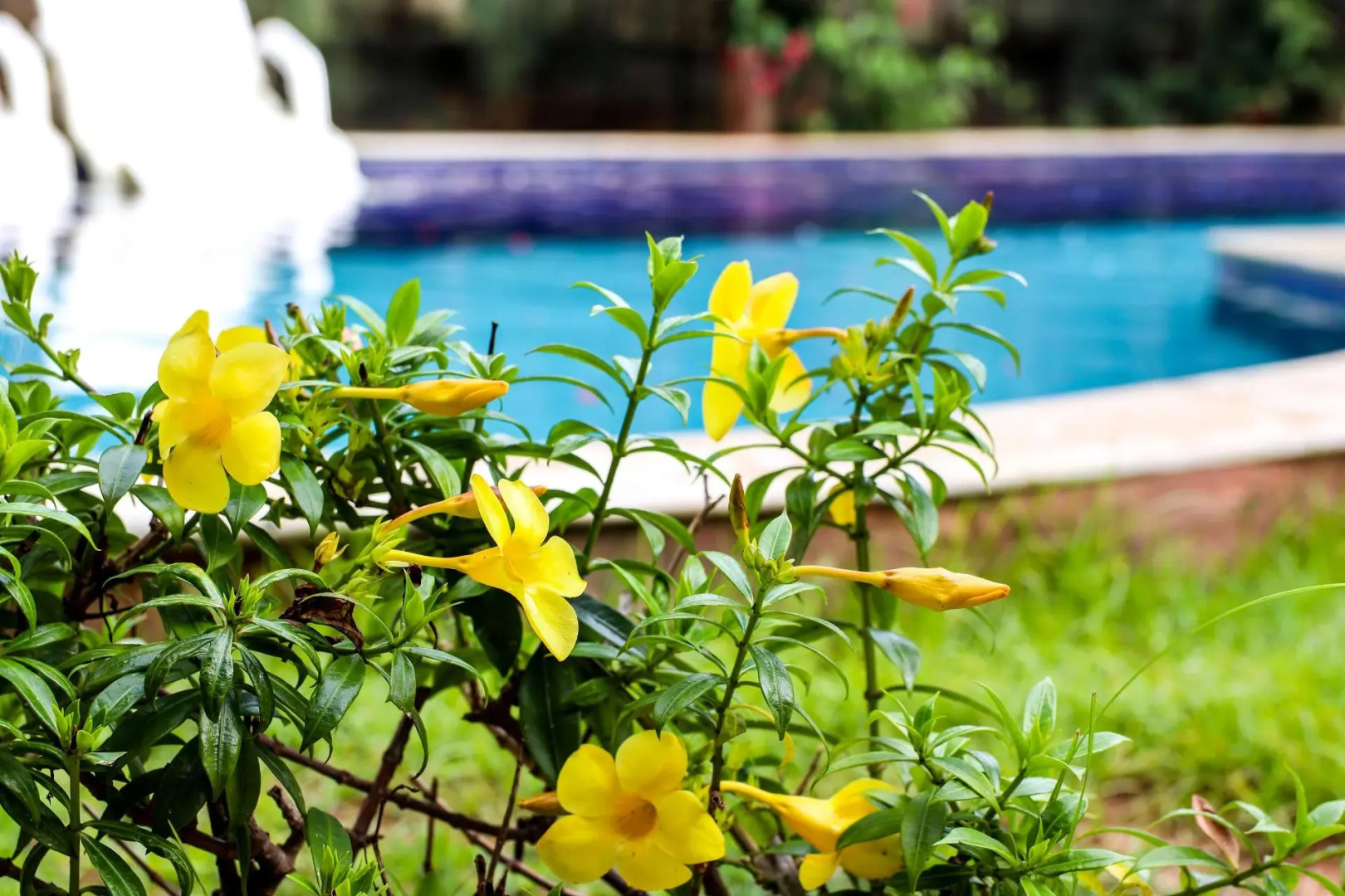 Imperial Palace Hotel