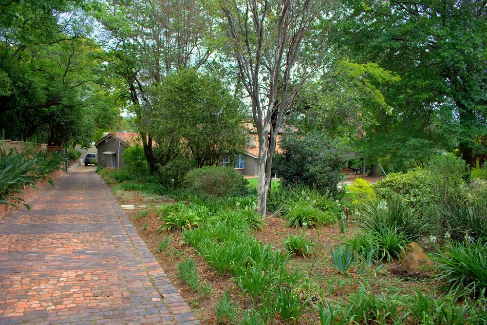 Wild Olive Executive Suite