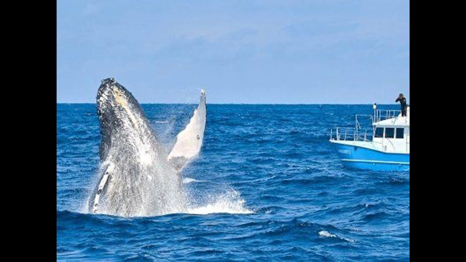 ZeroGravity Seisui VILLA