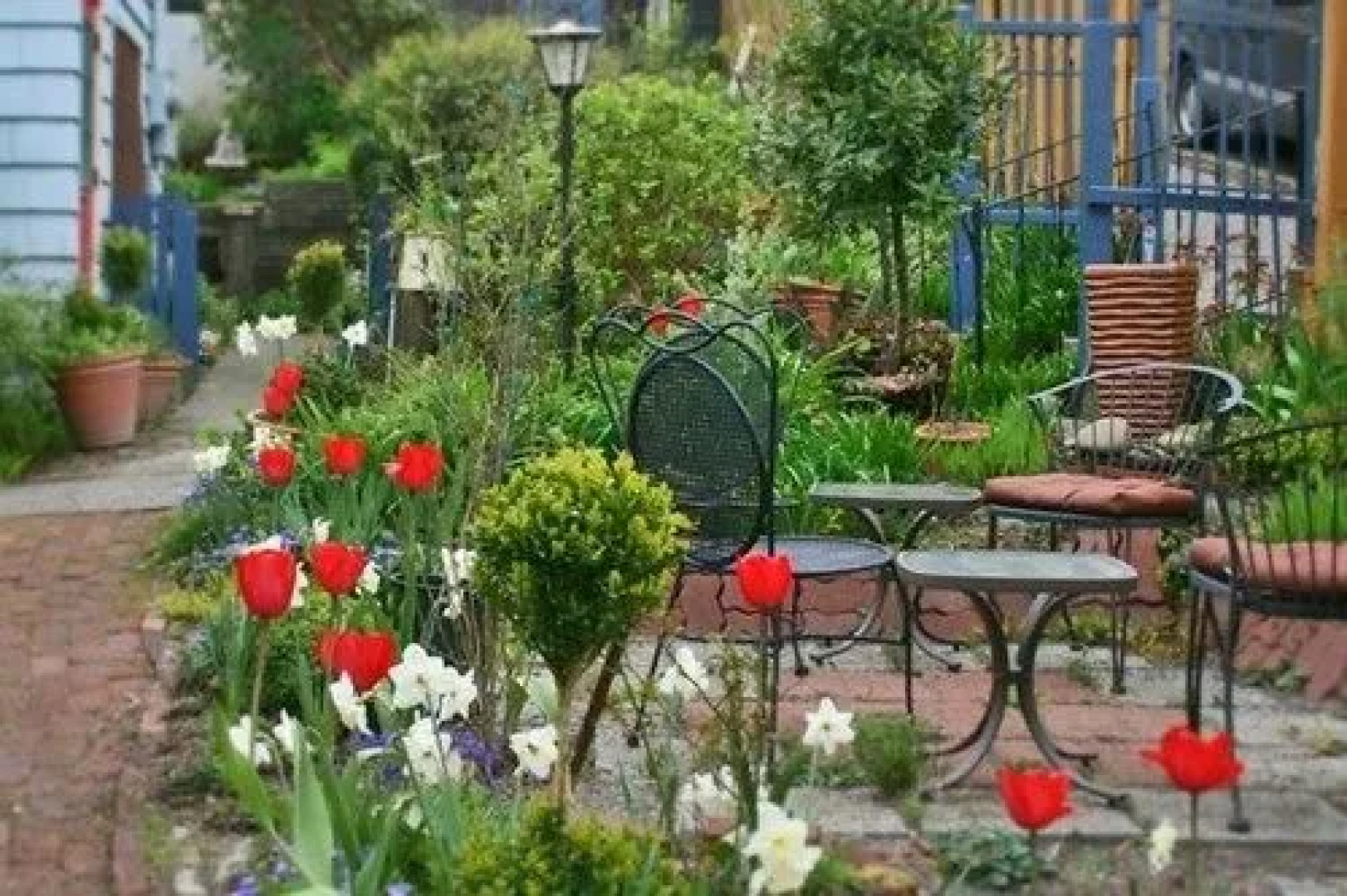 Clementines Bed & Breakfast