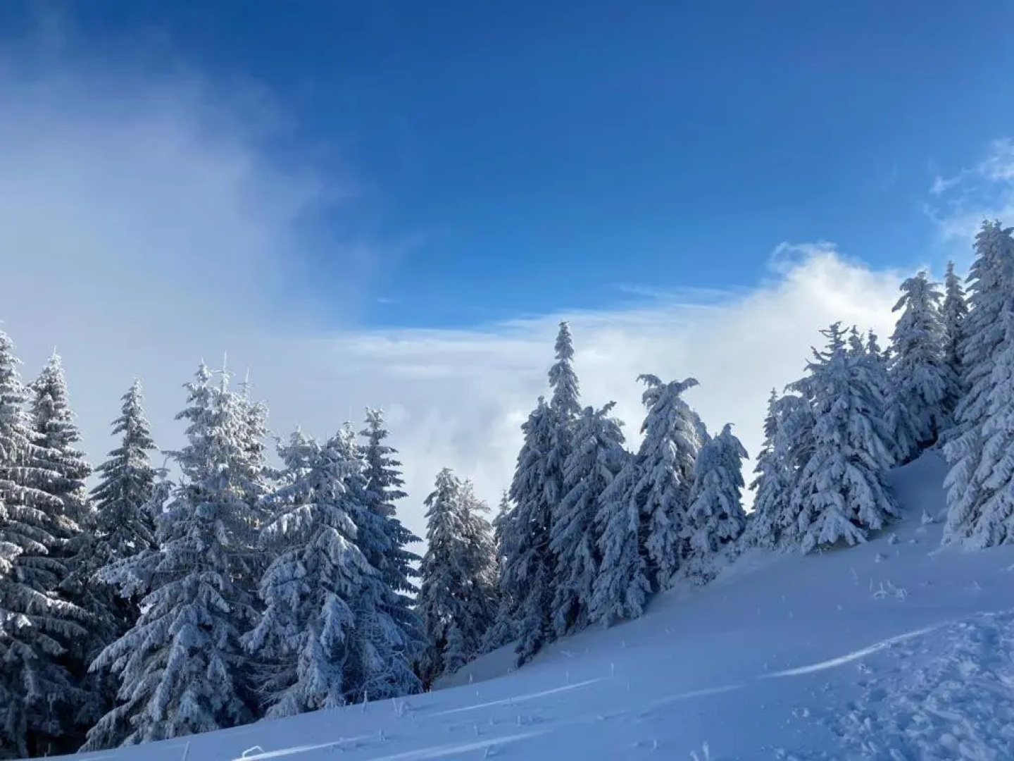 Poiana Brasov - Alpin Resort Hotel - Apartament 2708