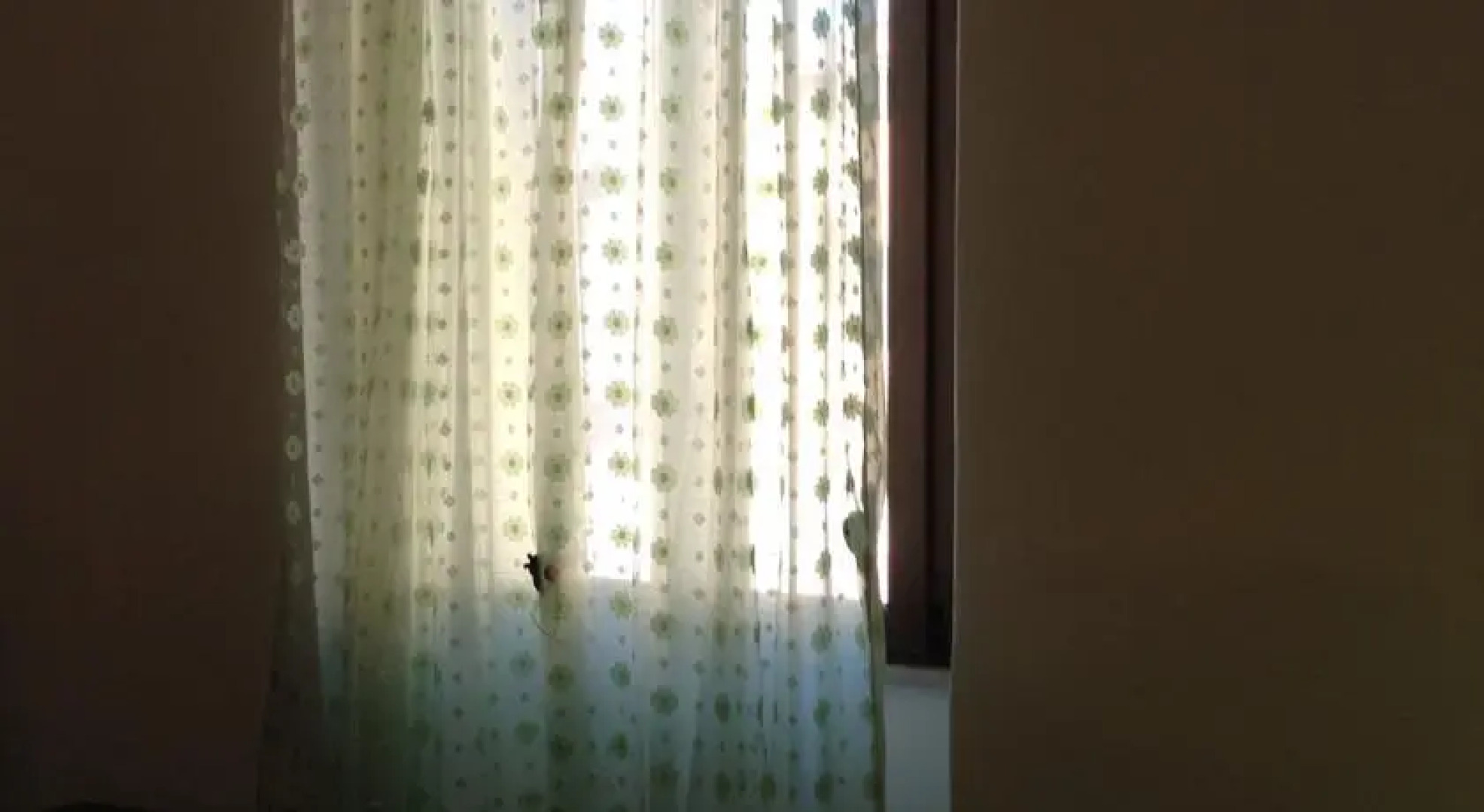 La Valle dei Nuraghi