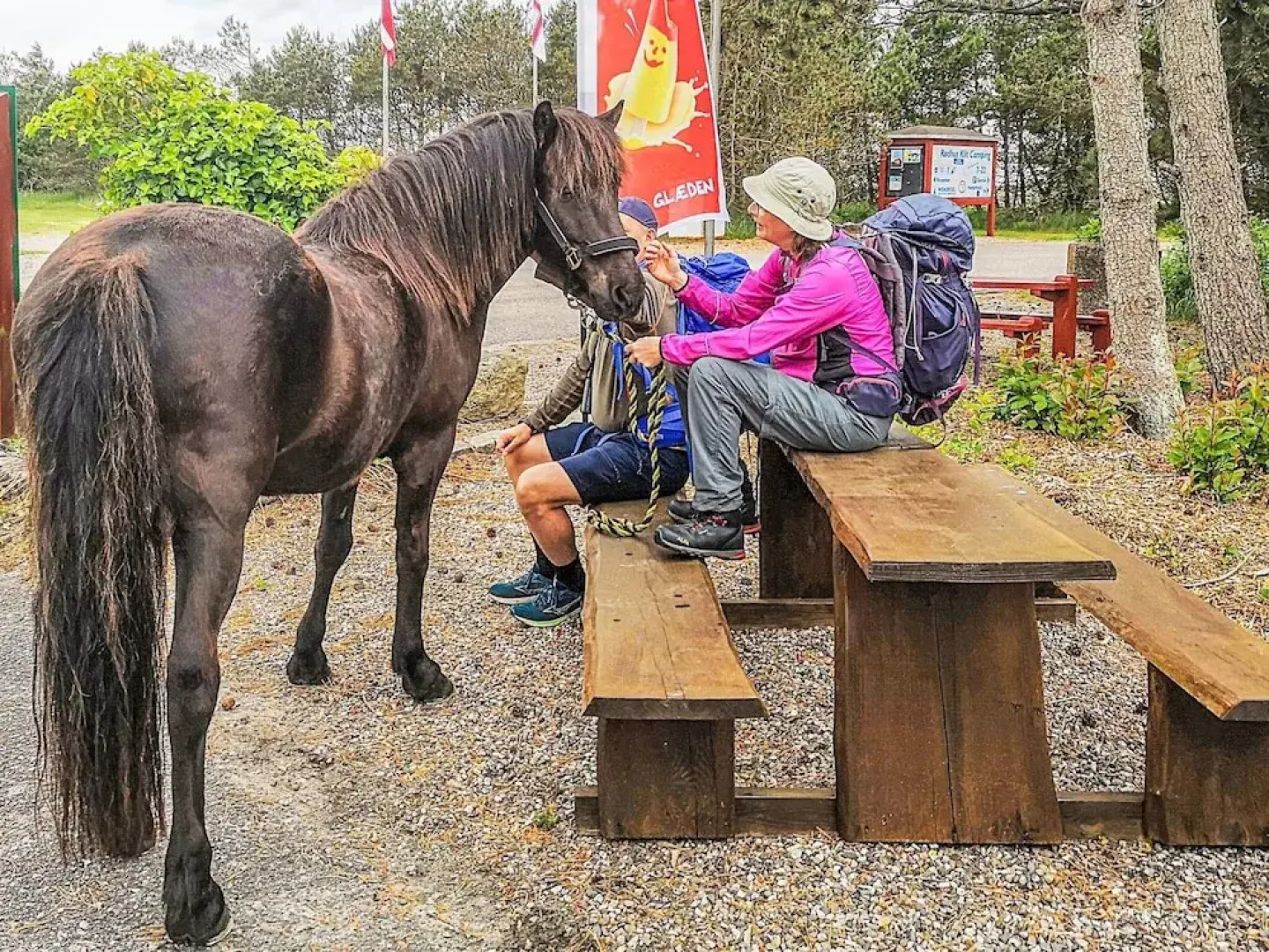 6 pax Camping Cabin in Rodhus, Pandarup