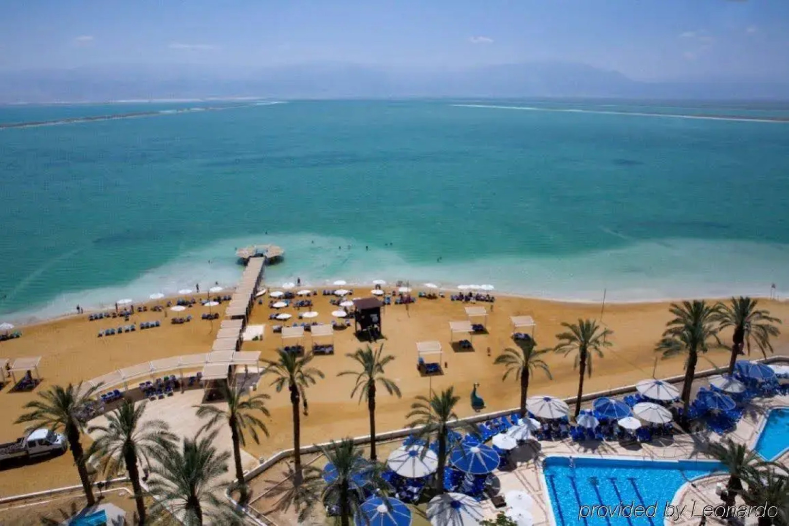 Vert Dead Sea