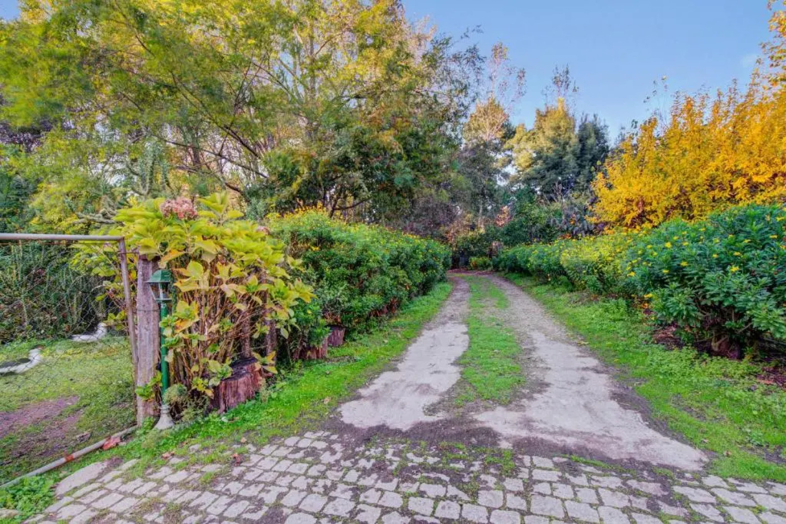 Casa do Moinho Rural campo e praia , 9 pessoas, animais benvindos