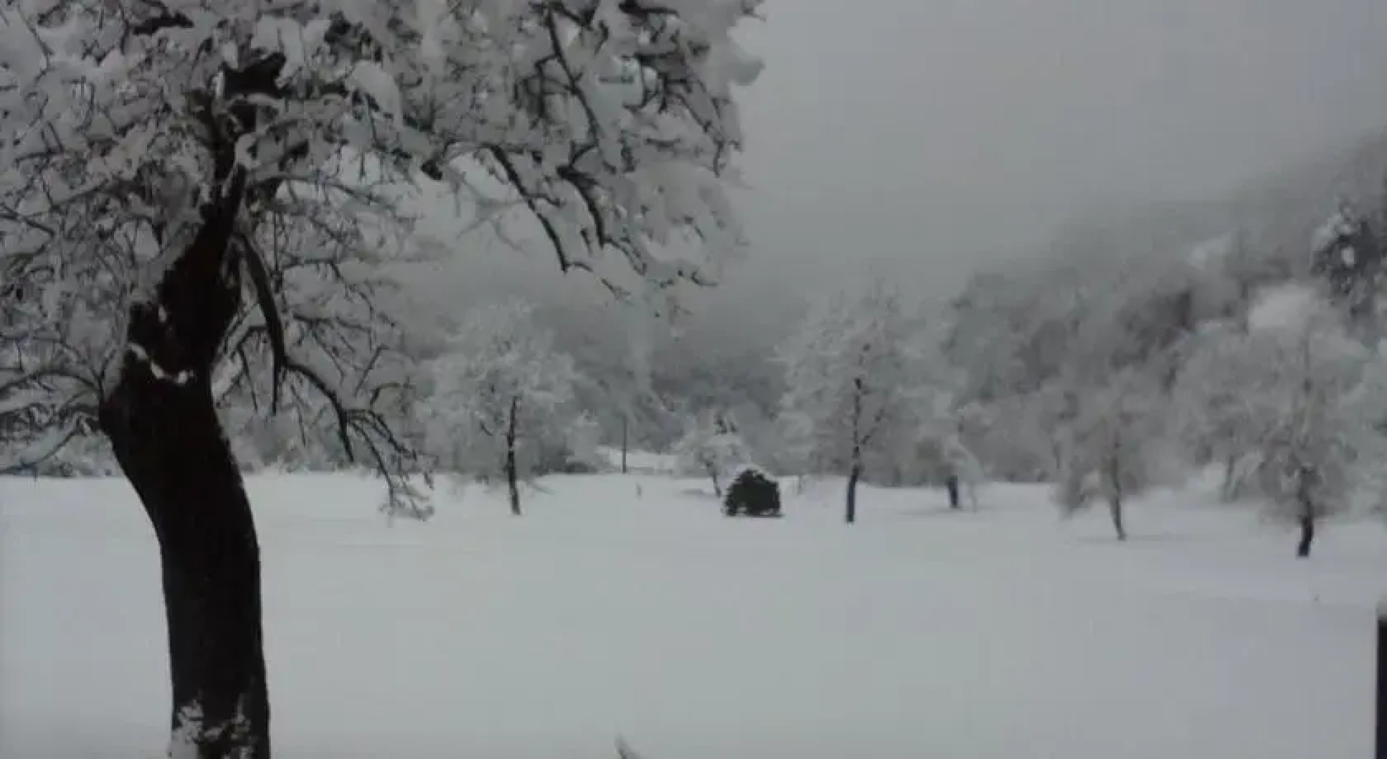 Residenza Il Girasole