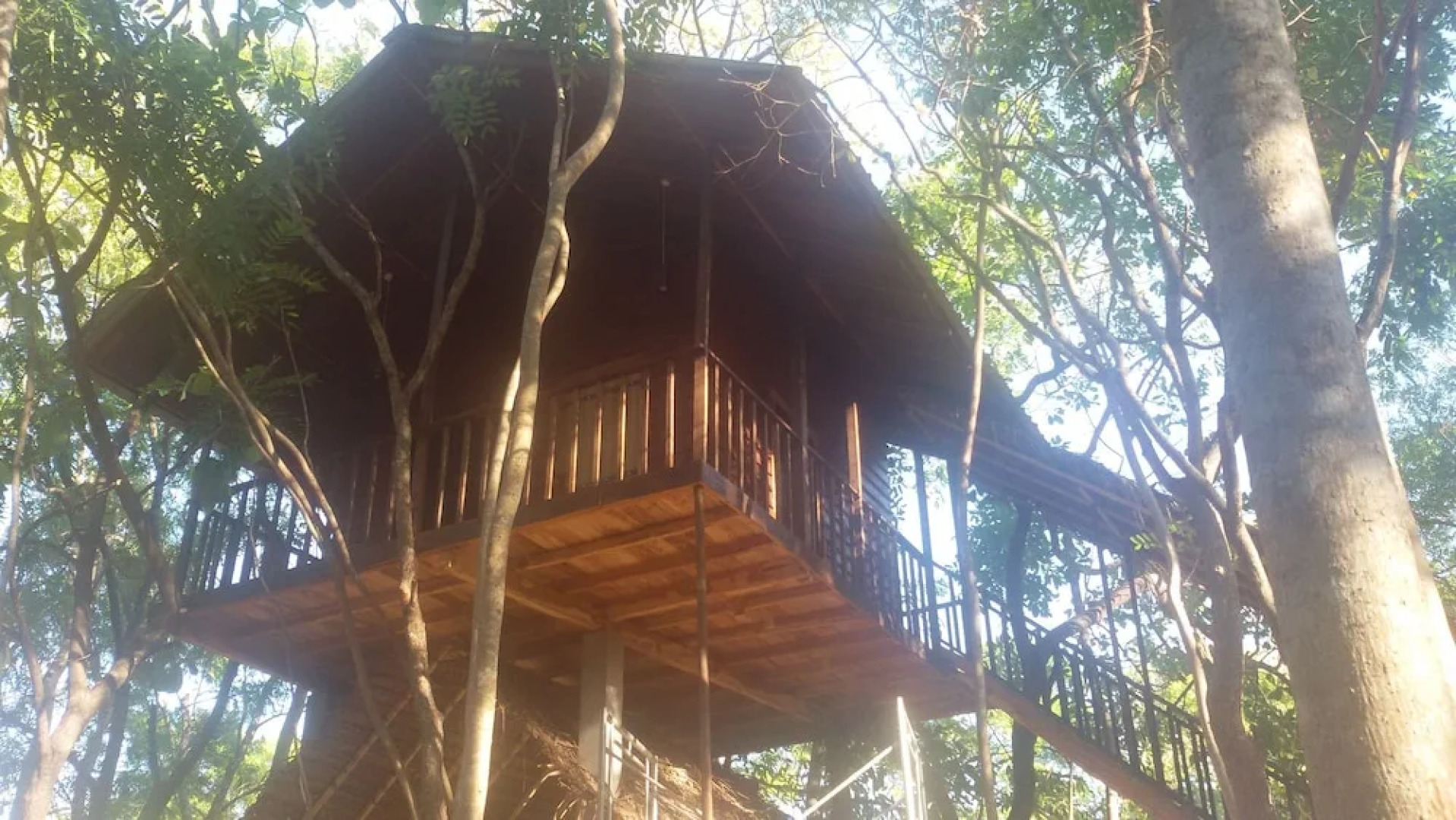 Elephant corridori camping