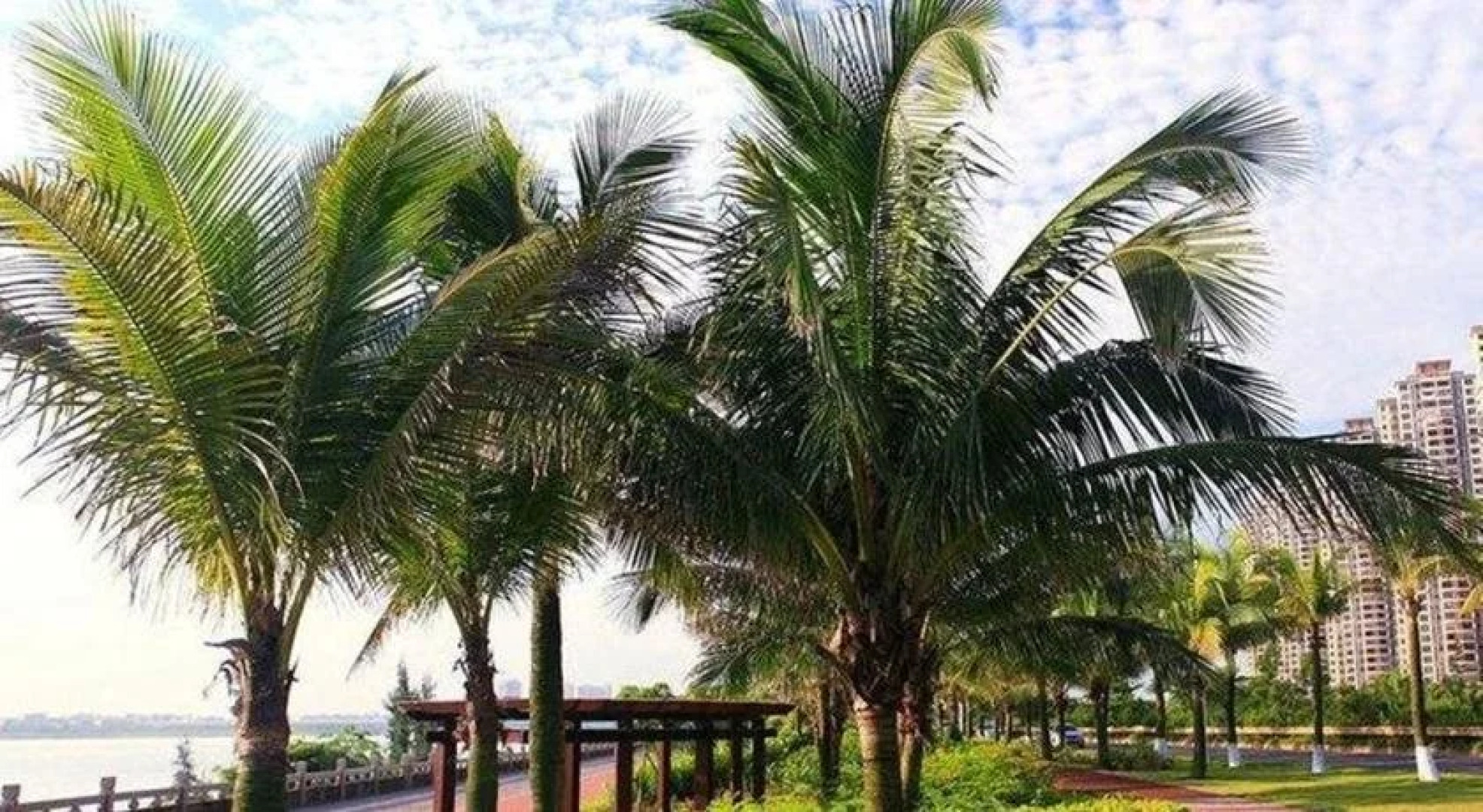 Haikou Tianyi International Hotel