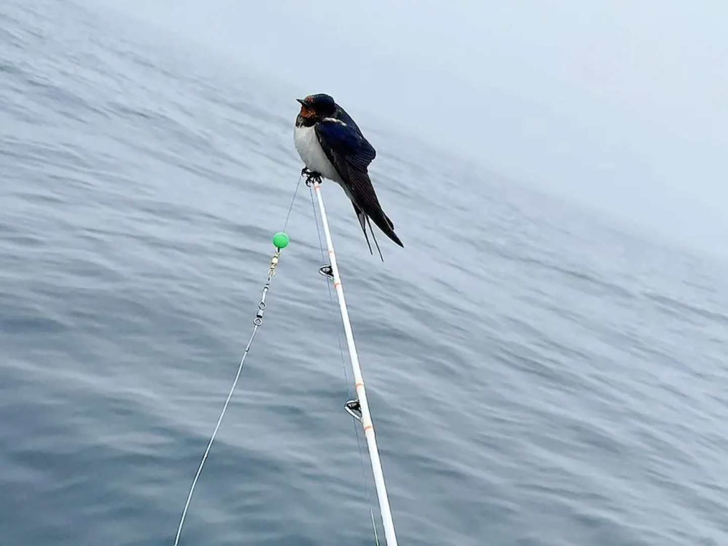 6 Person Holiday Home in Skudeneshavn-by Traum