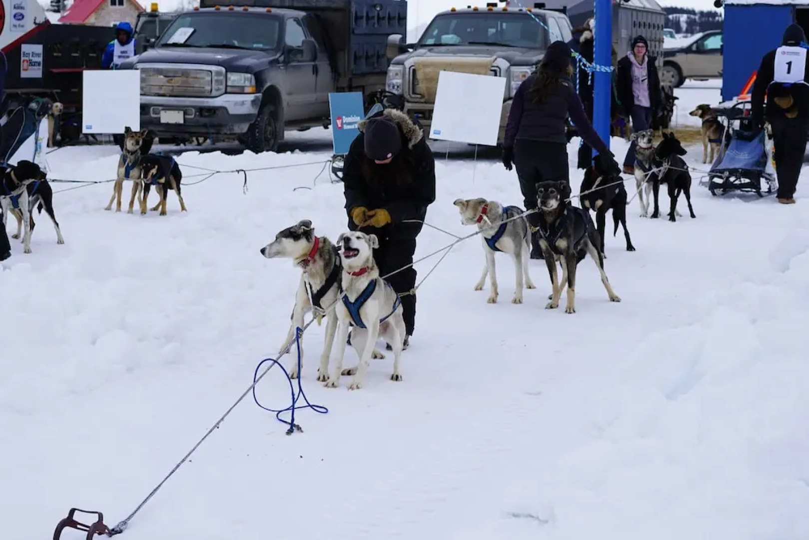 Aurora Deluxe Vacation Guest House