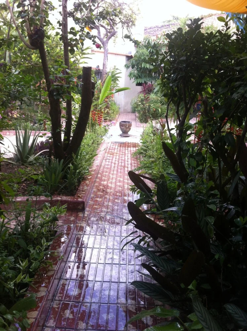 Hostal Las Flores Chalchuapa - Hostel