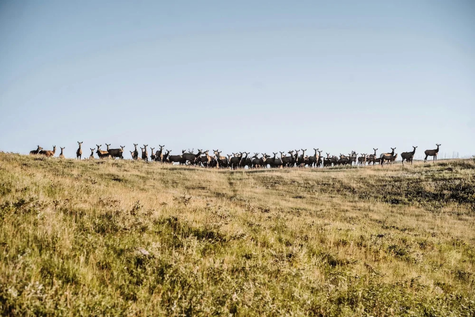 State Game Lodge & Resort