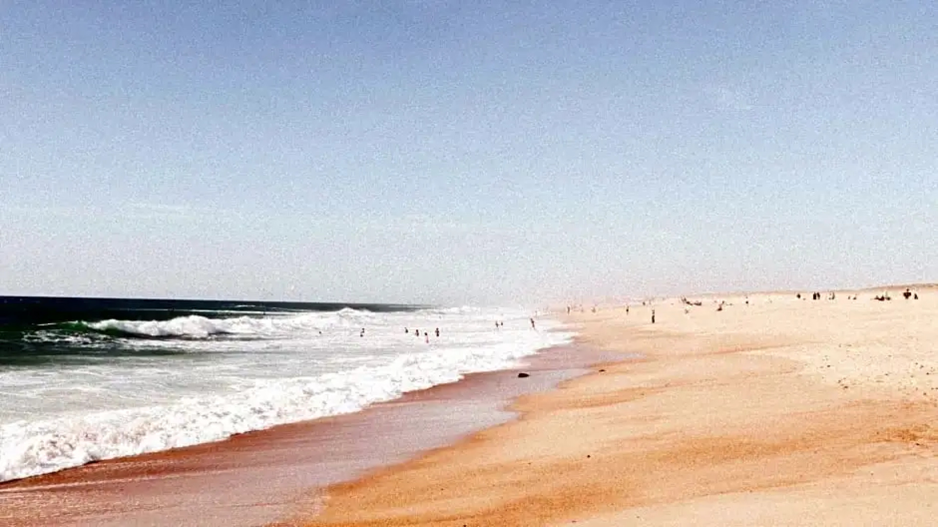 Alma Libre Yoga & Surf House