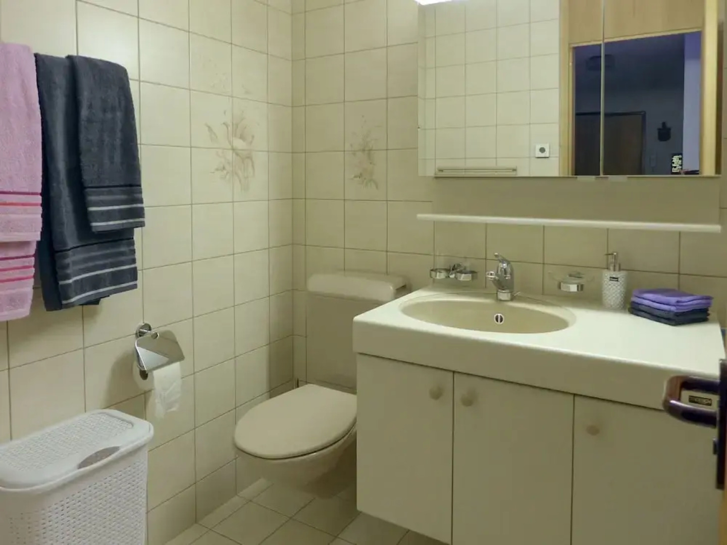 Allmi Meiringen in Meiringen