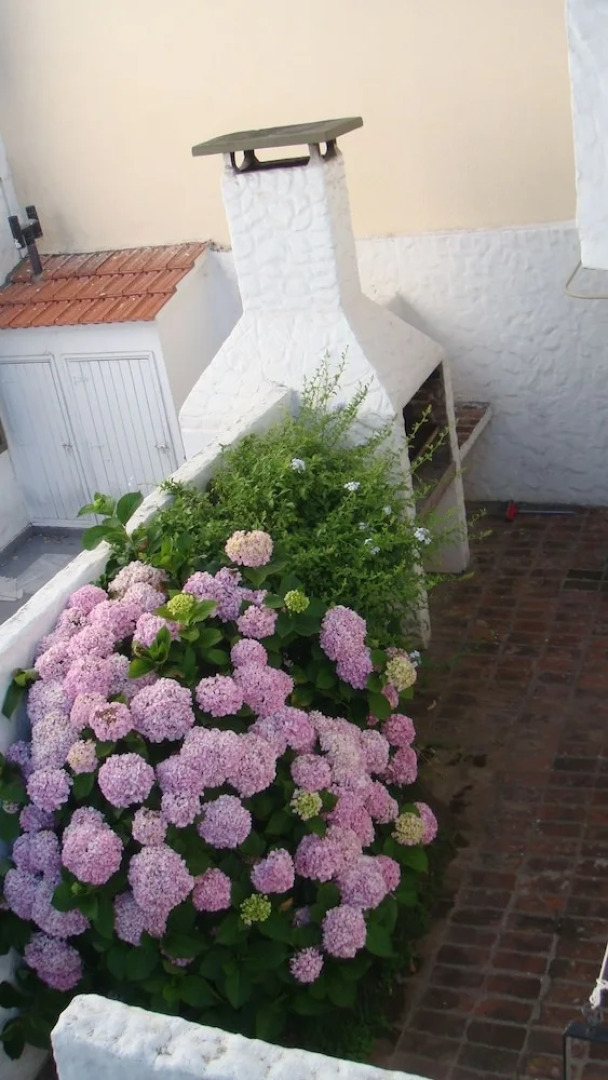 Triplex Nro 2 Costa Atlantica Argentina